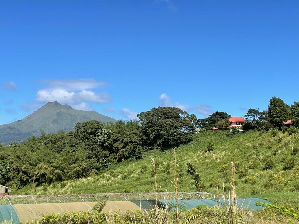 Chambre Et Sdb Privative Ylang Ylang Vue Mont Pelee Dans Maison Partagee Le Morne-Rouge Bagian luar foto