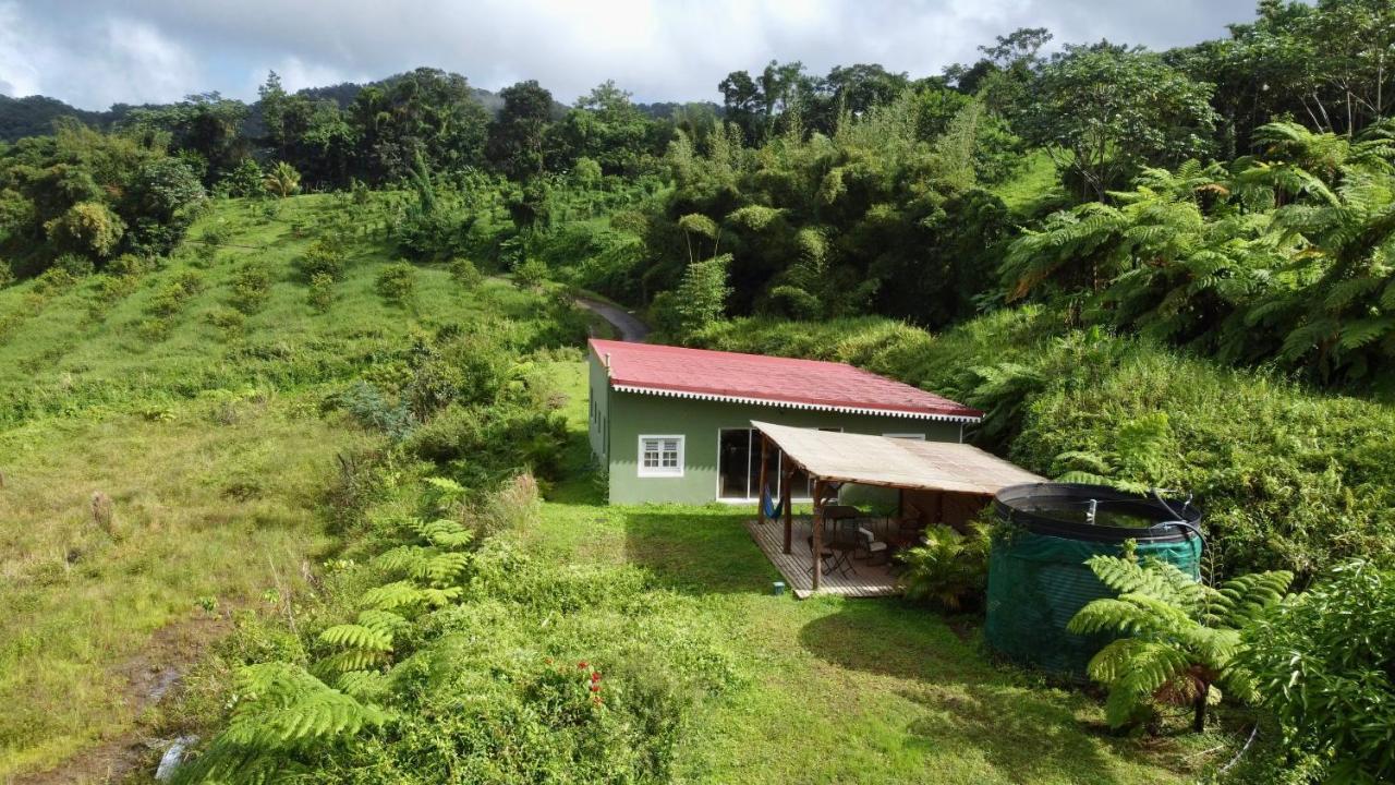 Chambre Et Sdb Privative Ylang Ylang Vue Mont Pelee Dans Maison Partagee Le Morne-Rouge Bagian luar foto